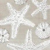 Beach Treasures Starfish Paper Cocktail Beverage Napkins – 20 Per Package