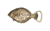 Hook N Hide - Flounder Buckle