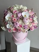 Blush Reverie