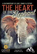 The Heart of the Elephant DVD