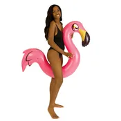 Flamingo Ride-On Noodle Pool Tube