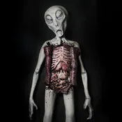 Alien Autopsy
