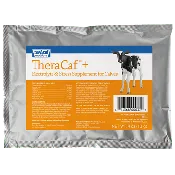 TheraCaf® PLUS Electrolyte Supplement