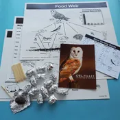 P3 Classroom Owl Pellet Kit — Mountain Home Biological