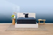 Cobalt Calm Firm Pillow Top by Serta