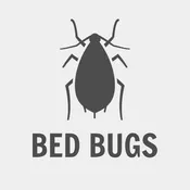 Bed Bug Intensive