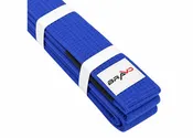 Blue Belt Jiu Jitsu
