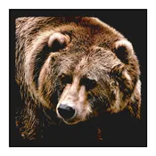 Bear Bandana