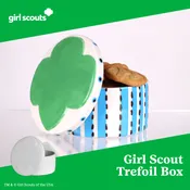 Girl Scout Trefoil Box