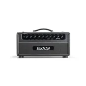 Bad Cat Hot Cat 50 Mod Shop Head - 120V