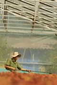 Vietnam Future Farm Anaerobic Natural