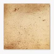 Allure 16"x16" Bronze Age Antique Mirrored Wall Tile