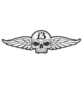 13 SKULL WINGS Iron-on patch