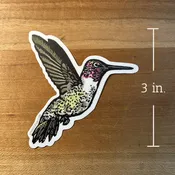 Anna’s Hummingbird STICKER — lynn-oleum