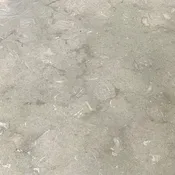 18 x 18 Harsh-Sea Green Limestone 2083