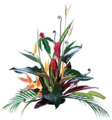 Hawaiian Passion