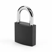 Custom Engraved Love Lock