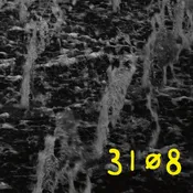 31Ø8 - 31Ø8 (YLW) cd