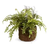 12" Rustic Boston Fern Drop In