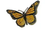 Butterfly Elements – Designs & Murals