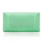 BOGO | Zoned Dough Peppermint Pillow