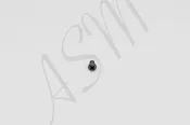 AS100 Gear Case Cover Holding Screw