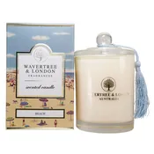 Beach Scented Soy Wax candle (330g/11.66 oz, 60 Hours Burn Time)