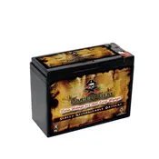12V 10AH Sealed Lead Acid (SLA) Battery - T2 Terminals