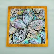 Abalone Seashell Teak Plate: Handcrafted Bali Candy Dish