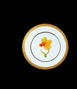 Mamie's Garden Daffodil Dinner Plate — Classic
