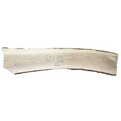 Ash Slab City 2B — The Wood Cycle of Wisconsin