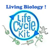 Life Cycle Kit – 5 Amazing Stages!