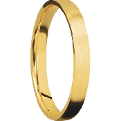 18K Yellow Gold + Satin Finish