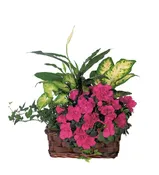Azalea Attraction Garden Basket