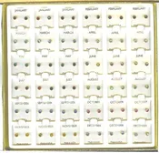 Birthstone Pierced Earrings in 3 Dozen Display