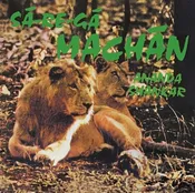 Ananda Shankar – Sa-Re-Ga Machan LP