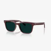 Panthos Transitions® Shiny Burgundy — HI-TREND
