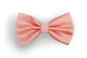#122 Bow Tie