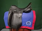 County Perfection E, a.k.a. Inspiration — Middleburg Tack Exchange
