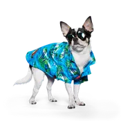 Aloha Shirt - Partner Brand