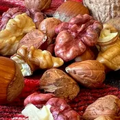 Organic Mixed Nuts in Shell (Raw, Unpasteurized)