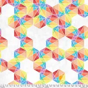 108" Backing Fabric - Prismatic - Polychrome || Hue