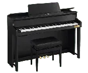 Casio GP-310