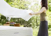 Organic Sheets