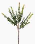 11.5” Multi-Head Succulent Stem