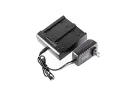 2 Bay Rover Battery Charger
