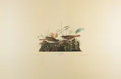 Plate 108-Fox colored Sparrow — Taylor Clark Gallery