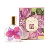 Eau de Parfum – Island Bougainvillea