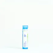 Arnica Montana 30C & 200CK
