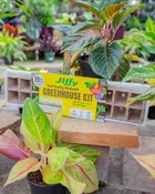 Jiffy Windowsill Greenhouse Kit 20 Cells